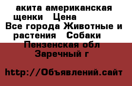 акита американская.щенки › Цена ­ 75 000 - Все города Животные и растения » Собаки   . Пензенская обл.,Заречный г.